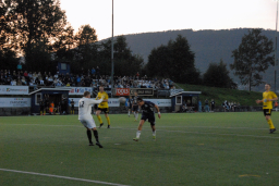 Varfjell - Tomrefjord 2023